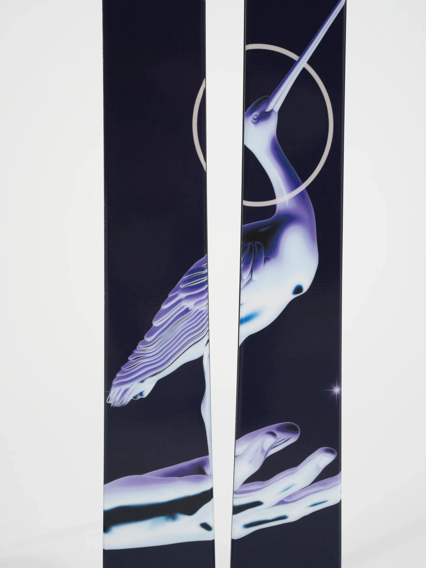 ARV 100 Skis 2025