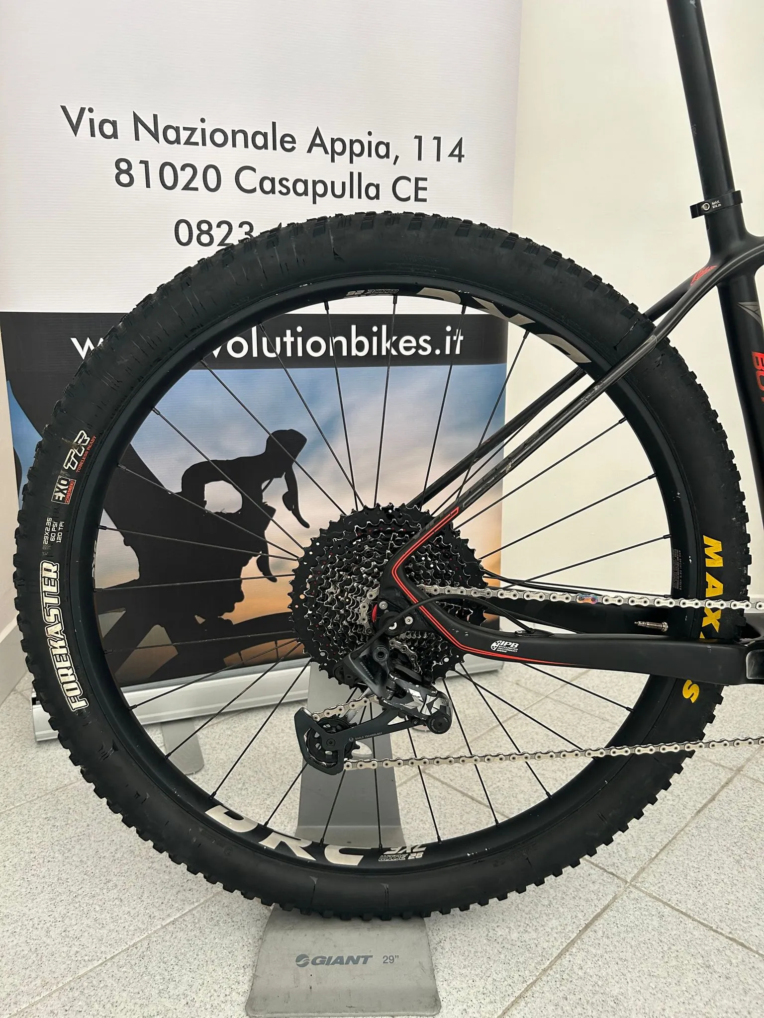 Bottecchia Zoncolan 29 Pro Taille 48 - Occasion