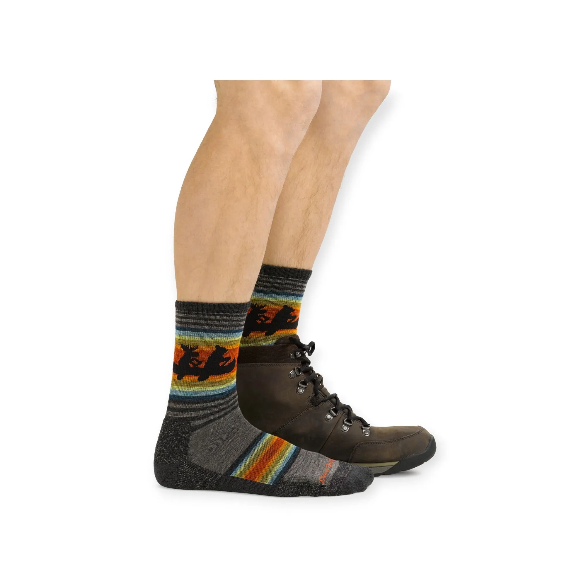 Darn Tough Willoughby Micro Crew Lightweight with Cushions Socks