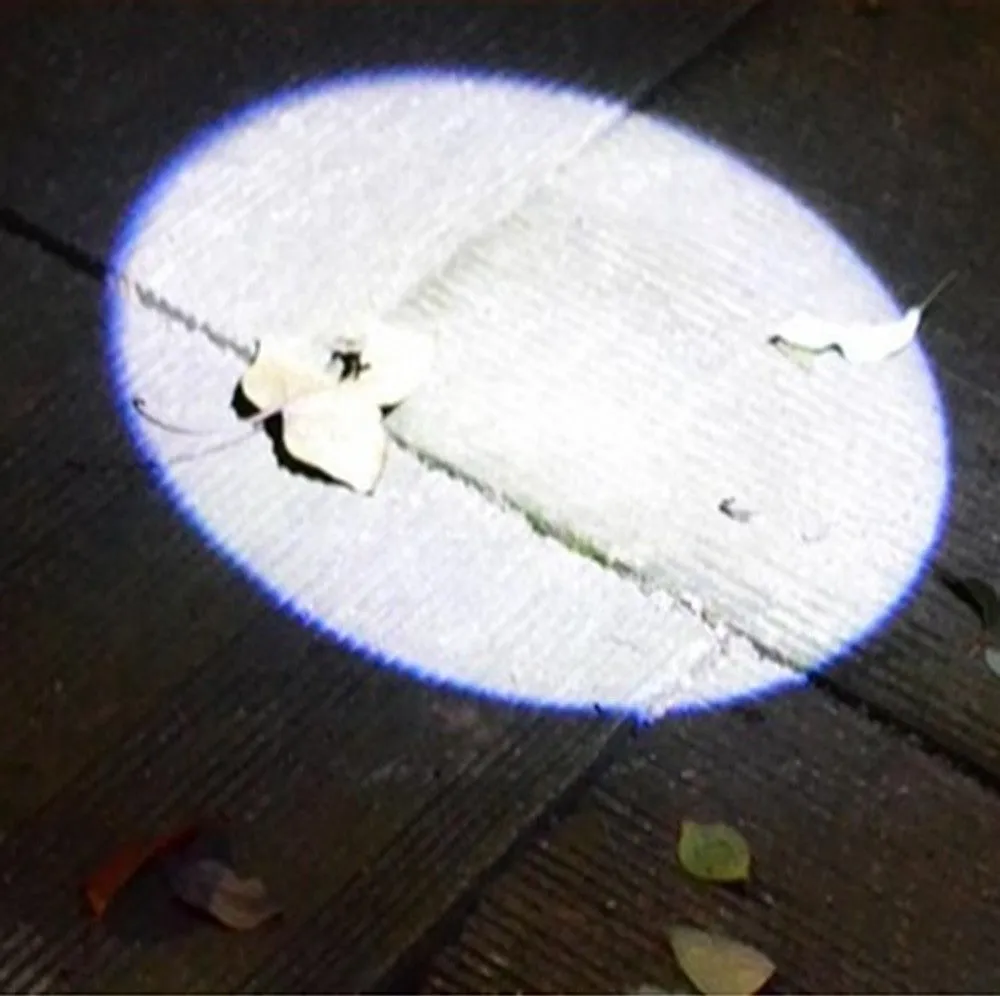 Moonlight Pocket Pen Light